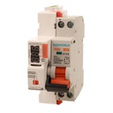 MCB Interruttore Magnetotermico WIFI Con Riarmo Automatico, Curva B 1P+N 2M 6000A AC 230V PN8H, Disponibile 6A 10A 16A 20A 25A 32A