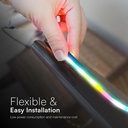 Kit Striscia Led Neon Flex RGB Magic Smart 3W/m 5m 30LED/m USB 5V con Telecomando SKU-24050