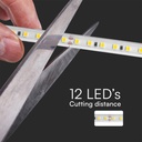 Striscia LED SMD 2835 220V 11W/m IP65, Bobina 10m con Spina Schuko - SL23727