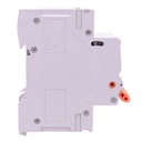 RCBO Doppia Leva, Interruttore Magnetotermico Differenziale Tipo A Curva C 1P+N 2M 6000A 300mA AC 230V IP20 IEC61009-1 GYR9NM, Disponibili 40A 50A 63A - GB65640