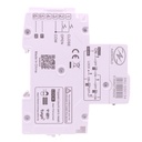 RCBO Interruttore Magnetotermico Differenziale Connesso WiFi Con Riarmo Automatico Tipo B Curva C 1P+N 2M 6000A 30mA AC 230V APP Tuya Disponibili 16A 20A 25A 32A 40A - GB42316RW