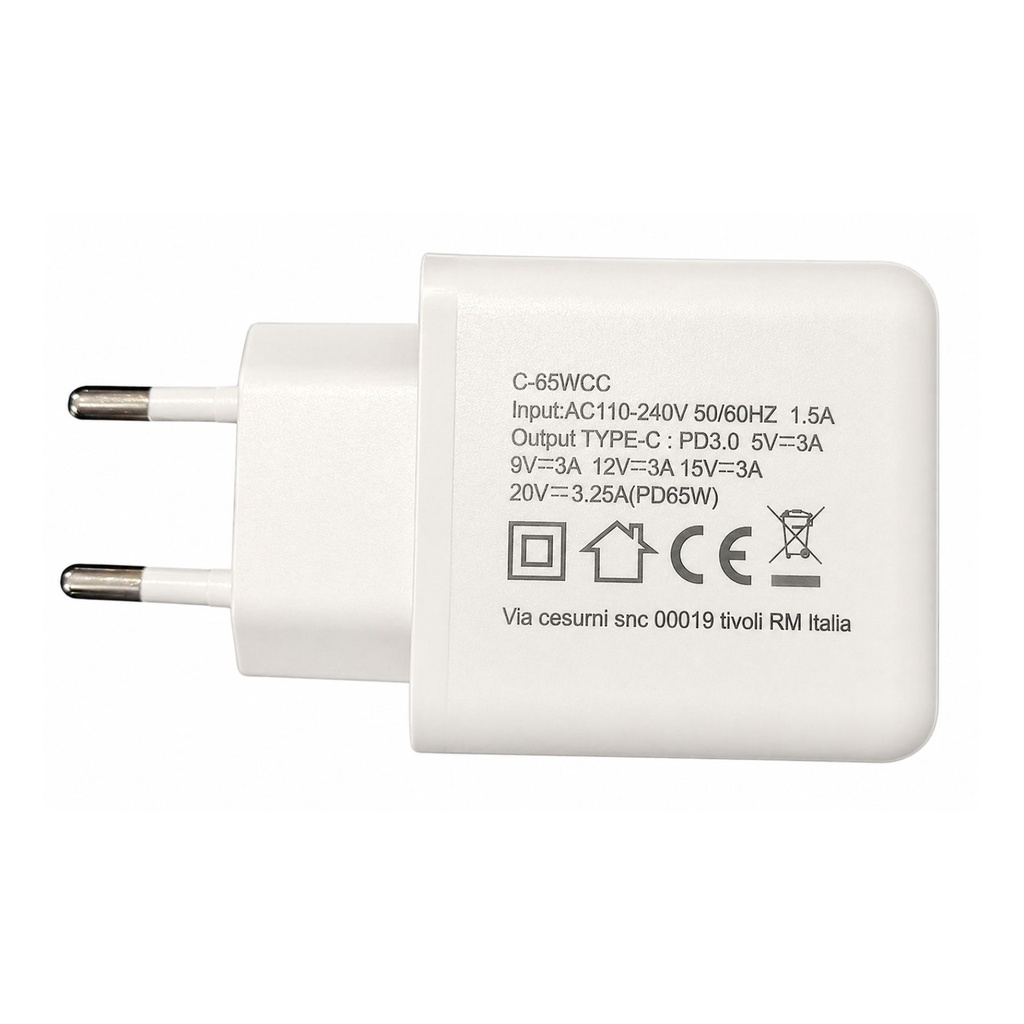 Caricatore USB C 65W Con Cavo USB C Da 1 Metro Incluso