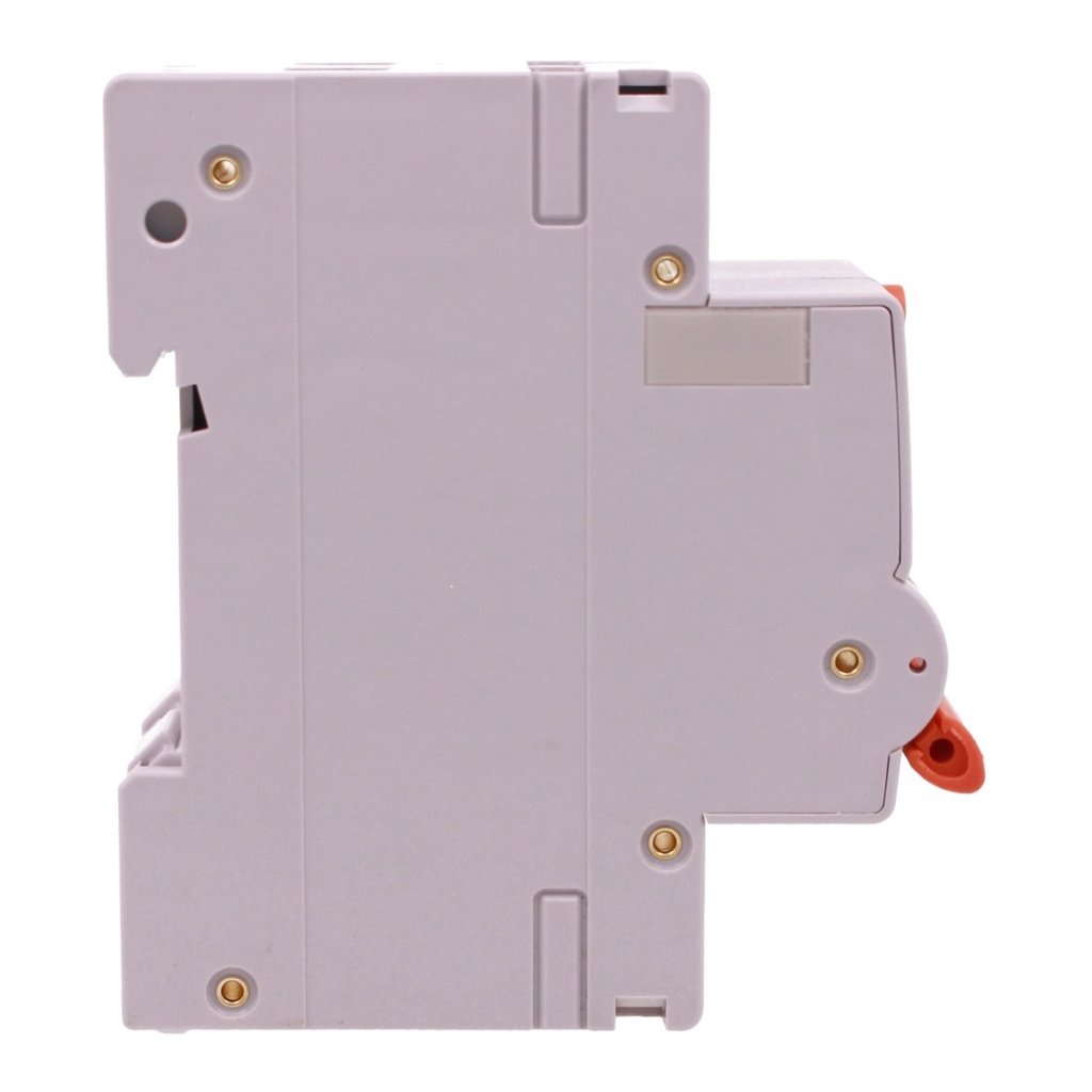 A2ZWORLD RCBO Selettivo A(S), Interruttore Magnetotermico Differenziale Tipo S Classe A Curva C 2P Veri 2M 6000A 300mA AC 230V PL8M2, Corrente Disponibili 25A 32A 40A - GB85625