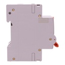 A2ZWORLD RCBO Selettivo A(S), Interruttore Magnetotermico Differenziale Tipo S Classe A Curva C 2P Veri 2M 6000A 300mA AC 230V PL8M2, Corrente Disponibili 25A 32A 40A - GB85625