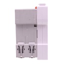 A2ZWORLD RCBO Selettivo A(S) Riarmo Automatico WIFI, Interruttore Magnetotermico Differenziale Tipo S Classe A Curva C 2P Veri 2M 6000A 300mA AC 230V PL8M2, Corrente Disponibili 25A 32A 40A - GB85625RW
