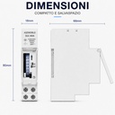 Orologio Interruttore Orario Giornaliero Meccanico su Guida DIN, Timer Switch 24 Ore, Riserva di Carica 100 Ore, 16A, 85-250V AC, 96 Pin, Programmazione Minima 15 Minuti