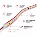 1 Metro Striscia Led 220V AC IP65, 10W/M 120SMD/M 1250LM/M, Trasparente Biadesivo Rosso Forte, Tagliabile Ogni 10cm, 10X5mm, Angolo 180° - SL22011C-1M