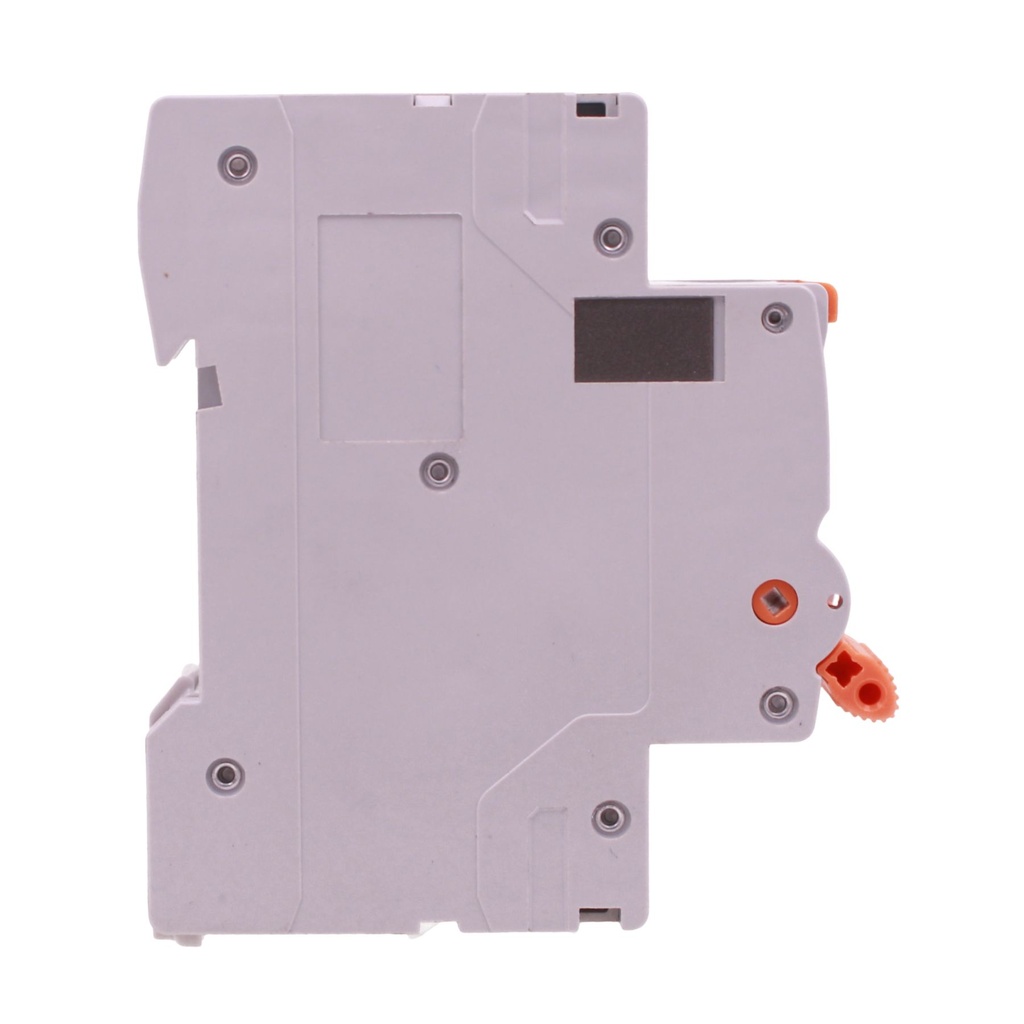 RCBO Interruttore Magnetotermico Differenziale Tipo A-SI Super Immunizzato, Curva C 1P+N 1M 6000A 30mA AC 230V IP20, GYR10N, Disponibili 6A 10A 16A 20A 25A 32A 40A - GB61310