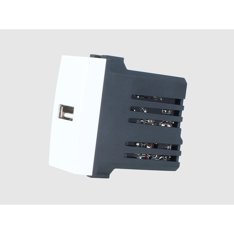 ETTROIT Modulo Presa Caricatore USB 5V 2,1A Colore BIANCO Compatibile Con Bticino Living Light