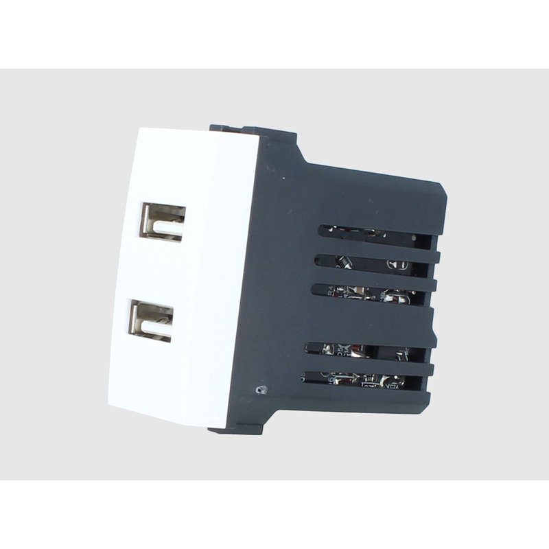 ETTROIT Modulo Presa Caricatore USB 5V 2,1A 2 Porte USB-A Colore BIANCO Compatibile Con Bticino Living Light