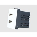 ETTROIT Modulo Presa Caricatore USB 5V 2,1A 2 Porte USB-A Colore BIANCO Compatibile Con Bticino Living Light