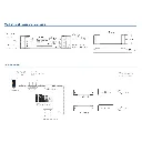 DD7117_04.webp