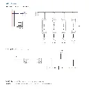 DD7117_05.webp