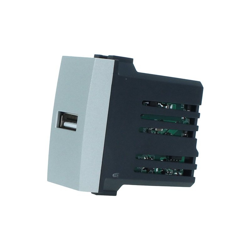 ETTROIT Modulo Presa Caricatore USB 5V 2,1A Colore GRIGIO Compatibile Con Bticino Living International