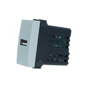 ETTROIT Modulo Presa Caricatore USB 5V 2,1A Colore GRIGIO Compatibile Con Bticino Living International