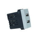 ETTROIT Modulo Presa Caricatore USB 5V 2,1A 2 Porte USB-A Colore GRIGIO Compatibile Con Bticino Living International