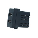 ETTROIT Modulo Presa Caricatore USB 5V 2,1A 2 Porte USB-A Colore Nero Compatibile Con Bticino Living International