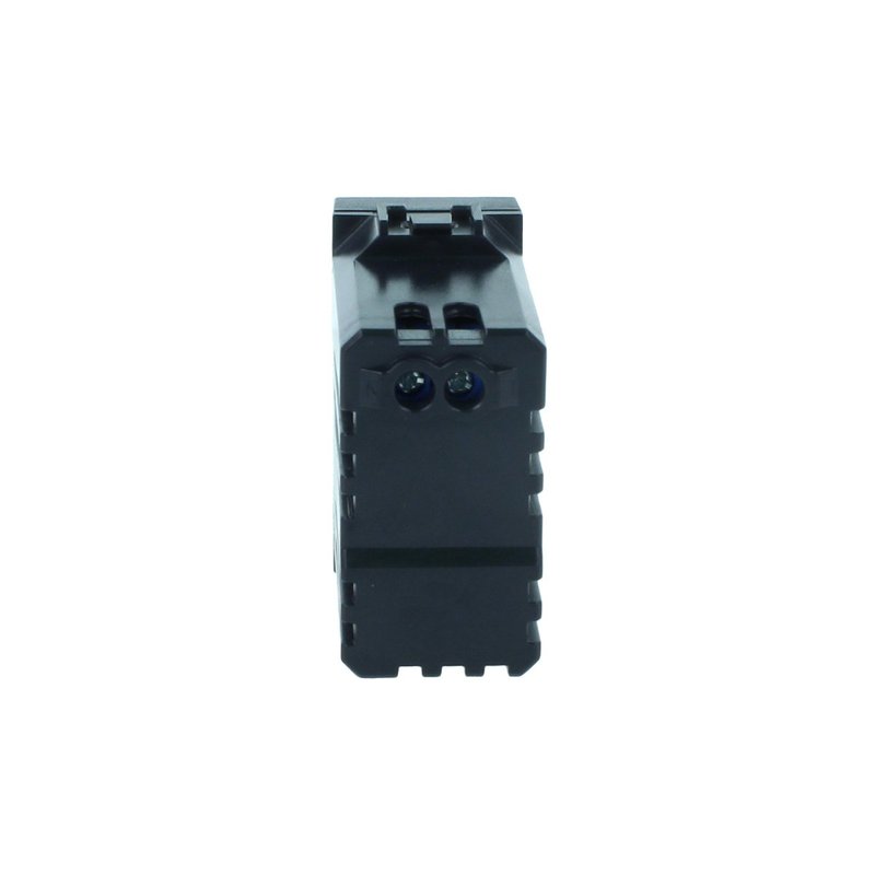 ETTROIT Modulo Presa Caricatore USB 5V 2,1A 2 Porte USB-A Colore Nero Compatibile Con Bticino Living International