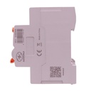 RCCB Interruttore Differenziale Selettivo Tipo S Classe A 1000mA/1A 1P+N 2M 10kA AC 230V IP20, GYL9, Corrente Disponibili 63A 100A - GC82999