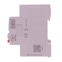 RCCB Interruttore Differenziale Selettivo Tipo S Classe A Con Riarmo Automatico, 100mA/0.1A 1P+N 2M 10kA AC 230V IP20, GYL9, Corrente Disponibili 40A 63A - GC82140RA