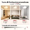 GN-GF19AH_04.webp