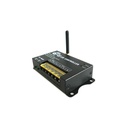 Centralina RGB 2,4G Full Color Controller RF Wireless 12V 24V 24A Per Bobina Led RF201