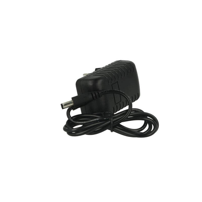 Trasformatore Alimentatore CV Con Spina da Presa Casa AC220V a DC 12V 1A 12W Colore Nero