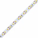 24V Striscia Led SMD Da 10 Metri, 12W/M 135lm/W 120SMD/M, Larga 8mm, Dimmerabile PWM, Tagliabile ogni 2 smd Da 17mm, IP20, CRI>80, Disponibili 3000K 4000K 6500K