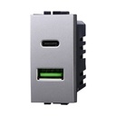 ETTROIT Modulo Presa Caricatore USB 2 Porte 3,1A USB-A + USB Type C Colore GRIGIO Compatibile Con Bticino Living International