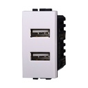 ETTROIT Modulo Presa Caricatore USB 5V 2,1A 2 Porte USB-A Colore BIANCO Compatibile Con Bticino Living Light