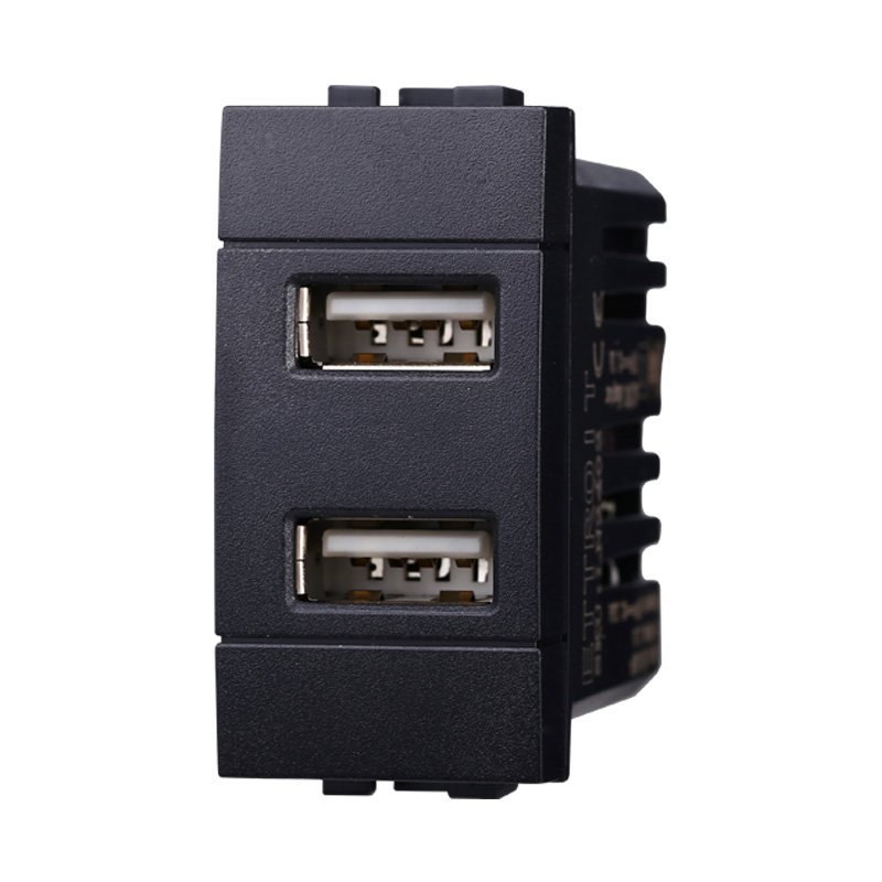 ETTROIT Modulo Presa Caricatore USB 5V 2,1A 2 Porte USB-A Colore Nero Compatibile Con Bticino Living International