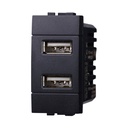 ETTROIT Modulo Presa Caricatore USB 5V 2,1A 2 Porte USB-A Colore Nero Compatibile Con Bticino Living International