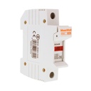 MeanWell Portafusibile Modulare AC 1P 1M D10X38mm 32A AC 500V IP20 IEC60269 FS32