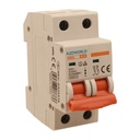 A2ZWORLD MCB Interruttore Magnetotermico Automatico Curva B 2P 2M 6000A B10A AC 400V IP20 IEC60898-1 SB6L
