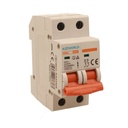 A2ZWORLD MCB Interruttore Magnetotermico Automatico Curva B 2P 2M 6000A B25A AC 400V IP20 IEC60898-1 SB6L