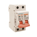 MCB Interruttore Magnetotermico Automatico Curva B 2P 2M 6000A B25A AC 400V IP20 SB6L