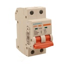 A2ZWORLD MCB Interruttore Magnetotermico Automatico Curva C 2P 2M 10000A C10A AC 400V IP20 IEC60898-1 PB8H