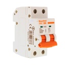 MeanWell MCB Interruttore Magnetotermico Automatico Curva C 2P 2M 10000A C63A AC 400V IP20 IEC60898-1 PB8H