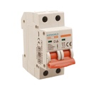 MCB Interruttore Magnetotermico Automatico Curva C 2P 2M 6000A C63A AC 400V IP20 SB6L