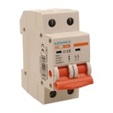 Interruttore Sezionatore Modulare 2P 2M 25A AC 400V IP20 IEC60947-3 DH