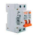 RCBO Interruttore Magnetotermico Differenziale Tipo AC Curva C 1P+N 2M 6000A 300mA C16A AC 230V IP20 IEC61009-1