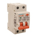 RCBO Doppia Leva, Interruttore Magnetotermico Differenziale Tipo A Curva C 1P+N 2M 6000A 30mA C32A AC 230V IP20 IEC61009-1 PL8HM