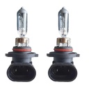 Coppia lampade alogene H10 12V 42W PY20d trasparenti per fendinebbia auto