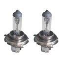 Coppia lampade alogene H19 12V 60/55W PU43t-3 trasparenti per fari auto