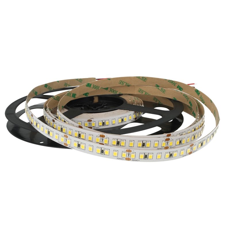 24V Bobina Striscia LED 12W/M 165LM/W 2000LM/M 3 Step Bianco Freddo 6000K 800 SMD 2835 5 Metri IP20