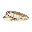 24V Bobina Striscia Led 17W/M Bianco Freddo Con 600 Smd 2835 5 Metri