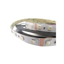 24V Bobina Striscia Led RGBW Freddo RGB+CW 20W/M 300 Smd 5 Metri IP20