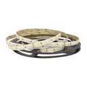 24V Striscia LED CCT 24W/M Bianco Caldo Neutro Freddo 2700K 6500K 5 Metri IP20 1120 SMD 2835