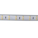 Bobina 100M Striscia Led 220V Bianco Freddo 6500K IP65 Passo 12mm 12W/M 1300LM/W Tagliabile 20cm Doppia Fila 120 smd 2835/m