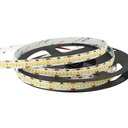 24V Bobina Striscia Led 20W/M Bianco Freddo 6000K 1200 Smd 2835 5 Metri IP20